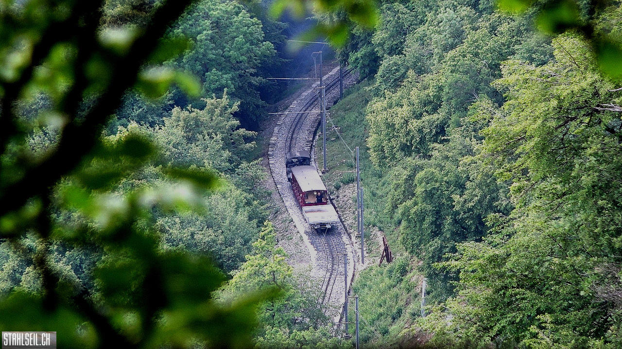 DSC02522.JPG