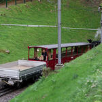 DSC02523.JPG