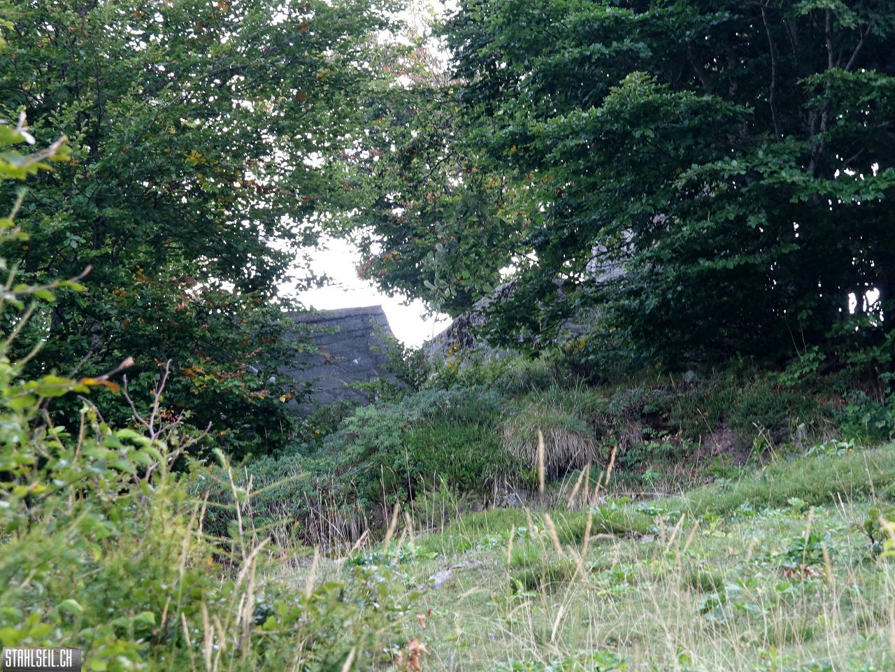 DSC04937.JPG