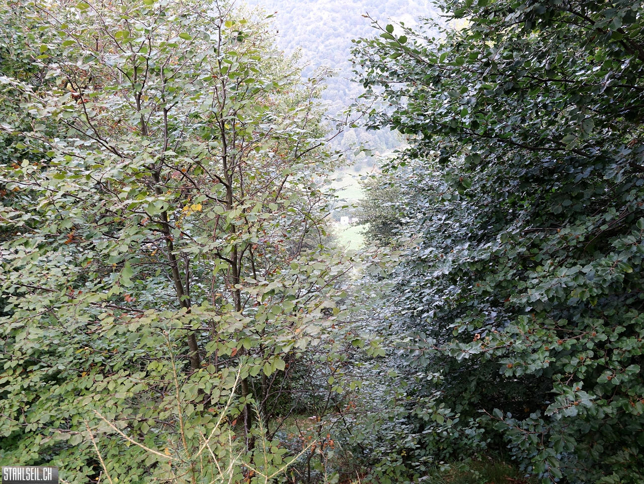 DSC04941.JPG