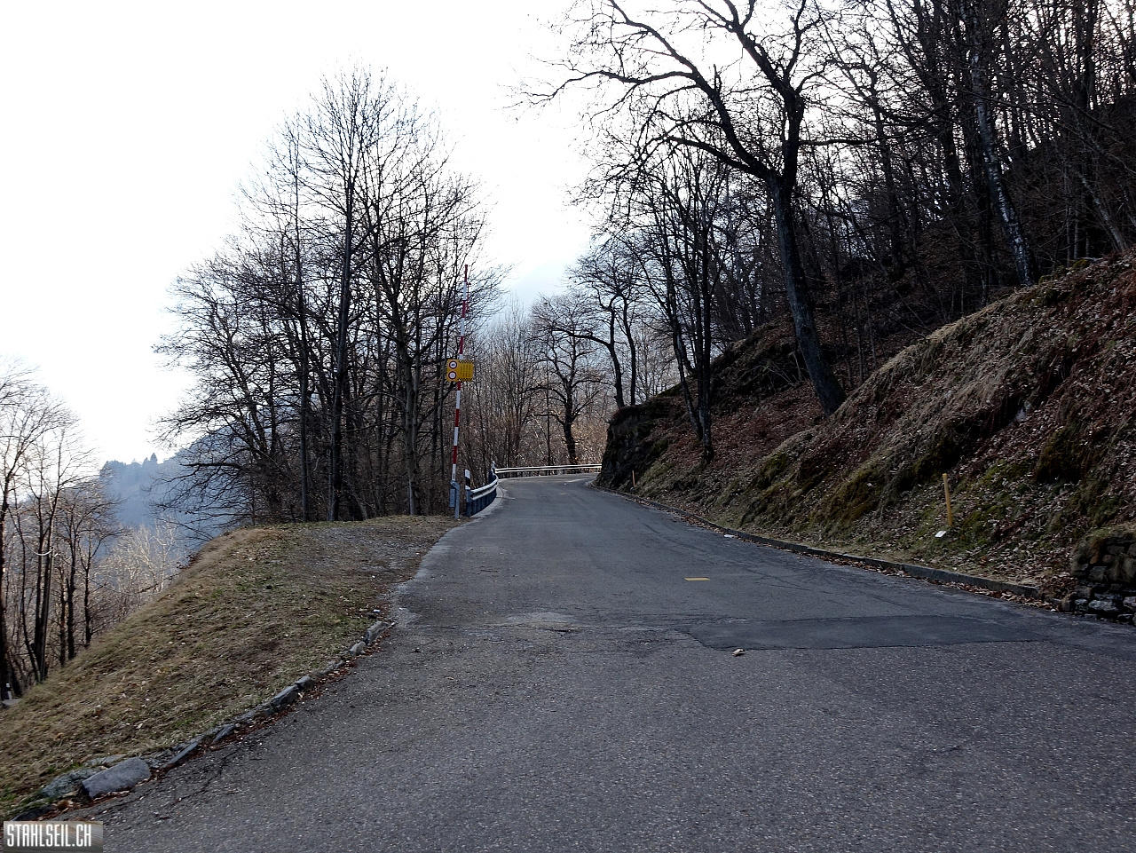 DSC07945.JPG