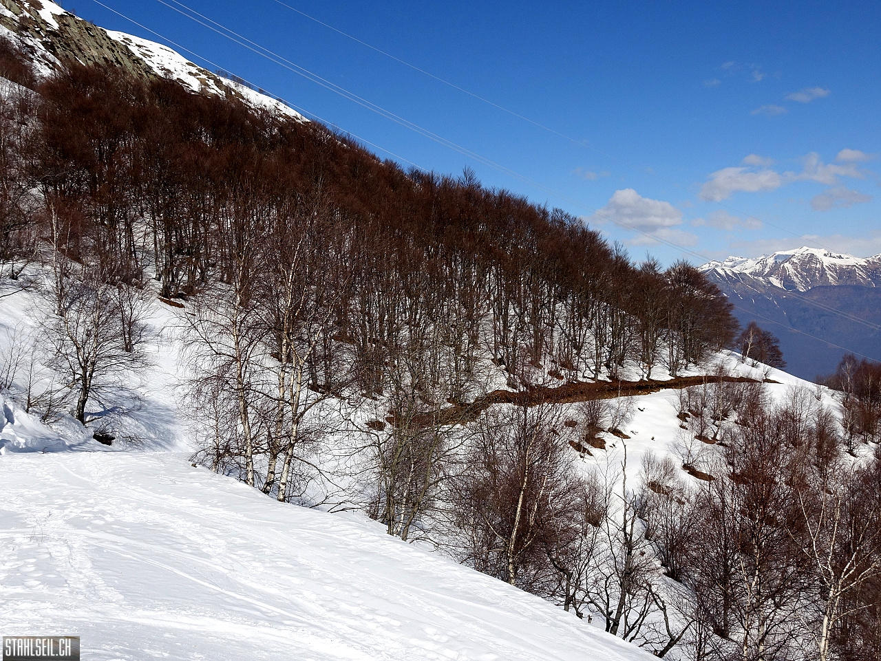 DSC08018.JPG