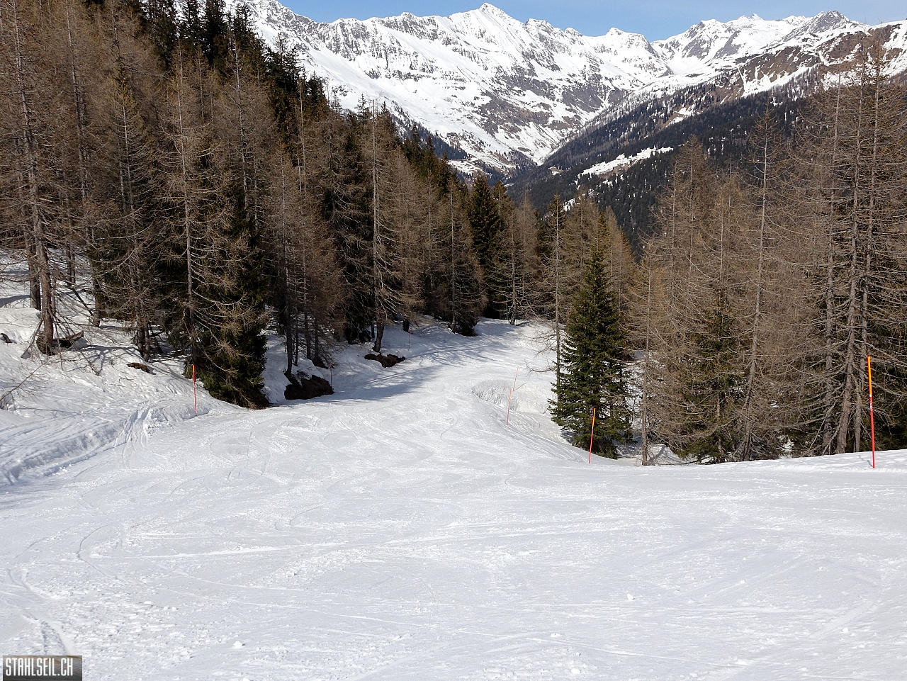DSC08812.JPG