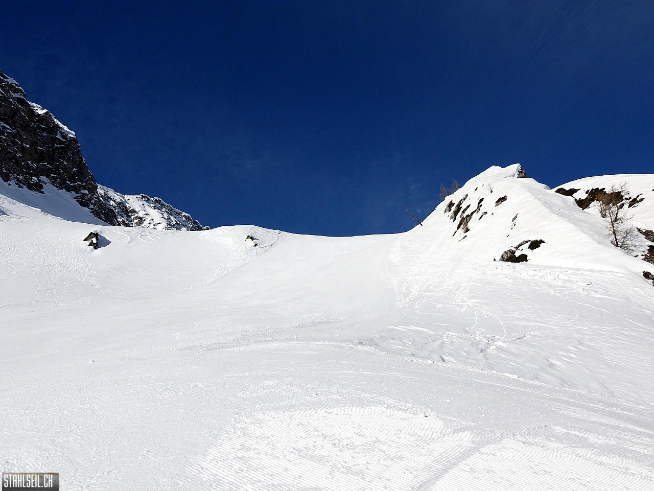 DSC08328.JPG