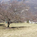 DSC08931.JPG