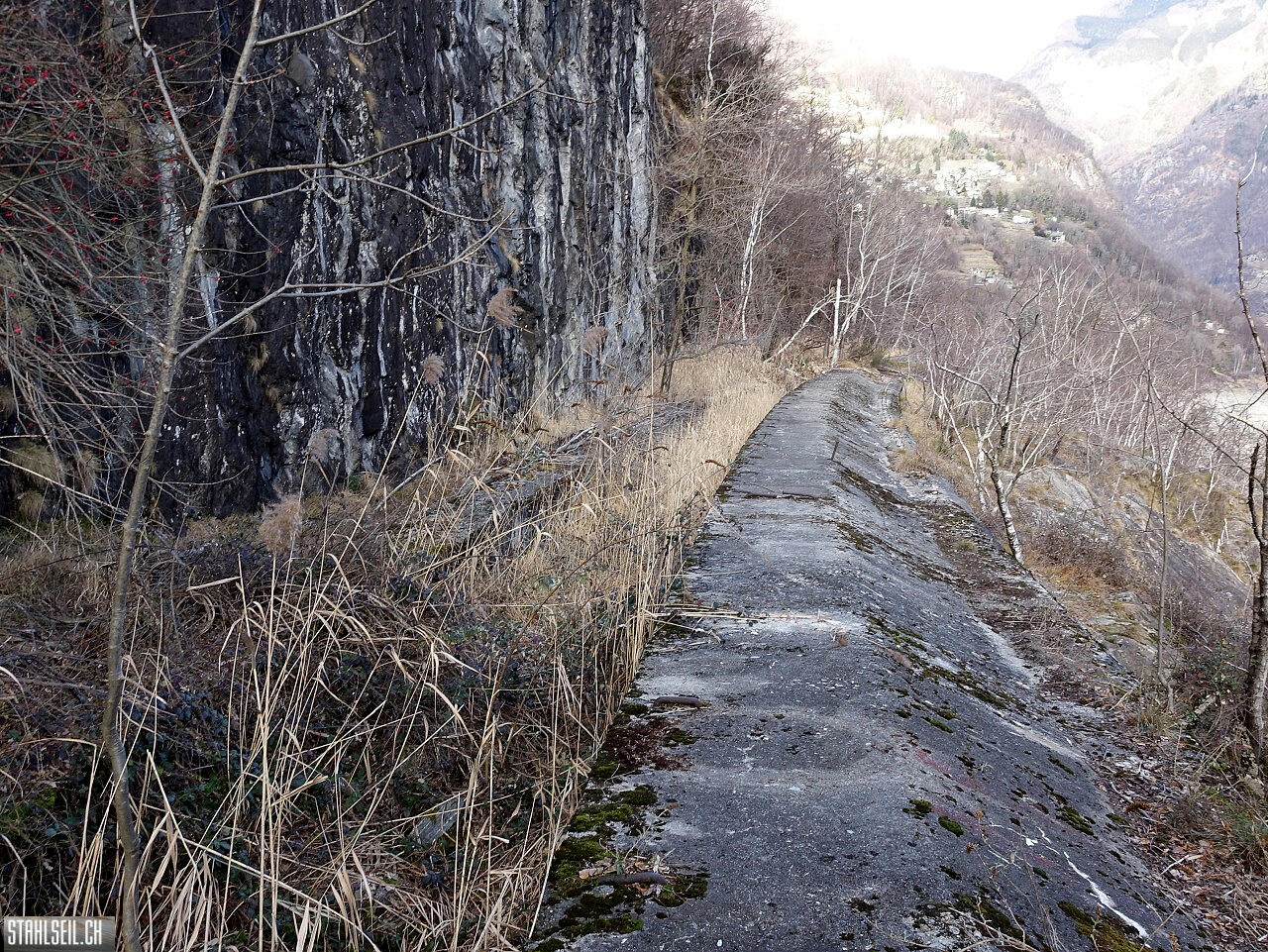 k-DSC01684